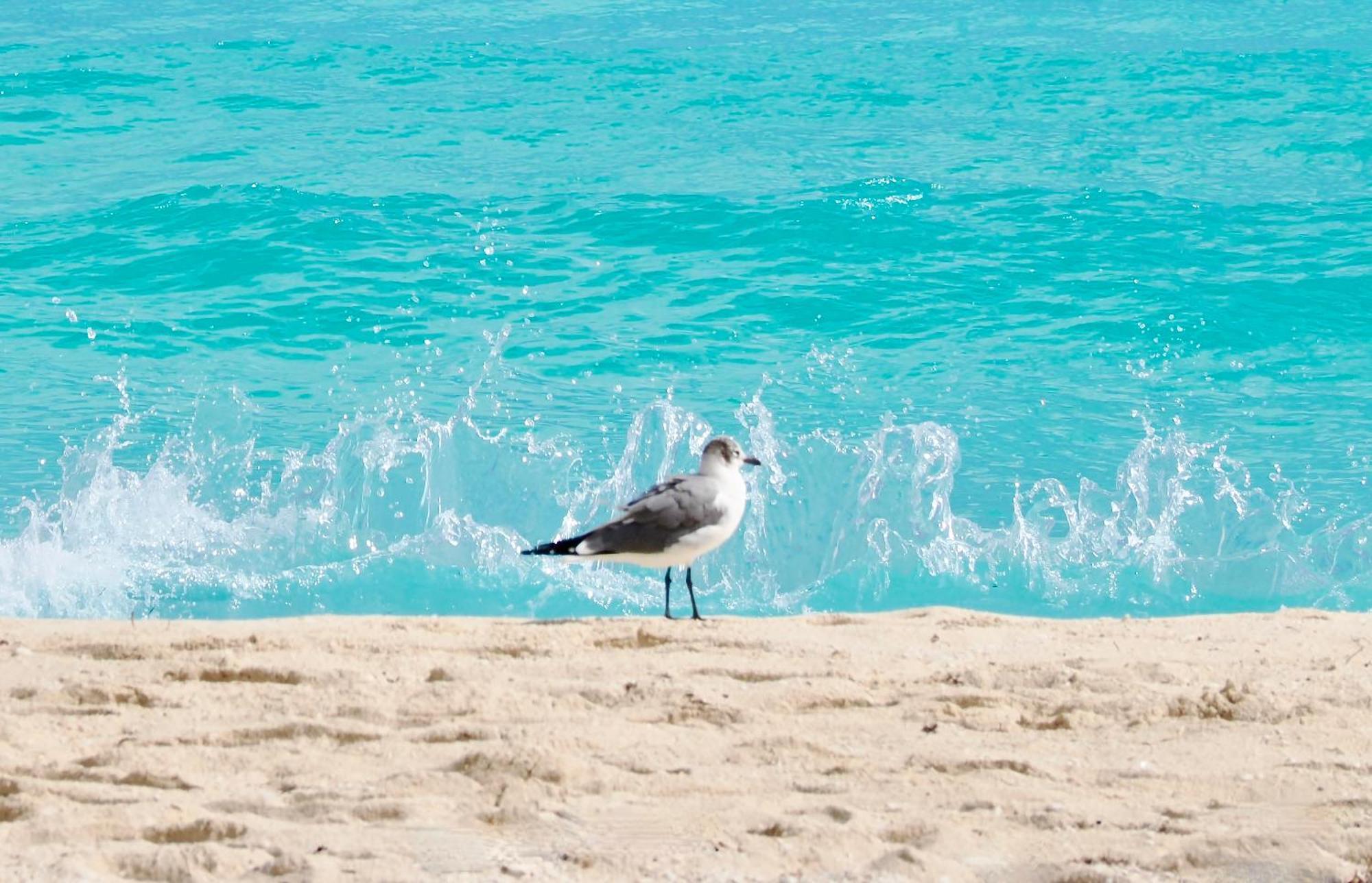 Solymar Condos On The Beach Cancún Buitenkant foto